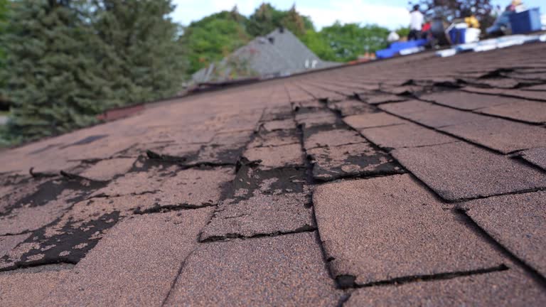 Best Cold Roofs  in Kodi, AK