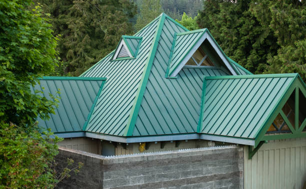 Best Roof Insulation Installation  in Kodi, AK