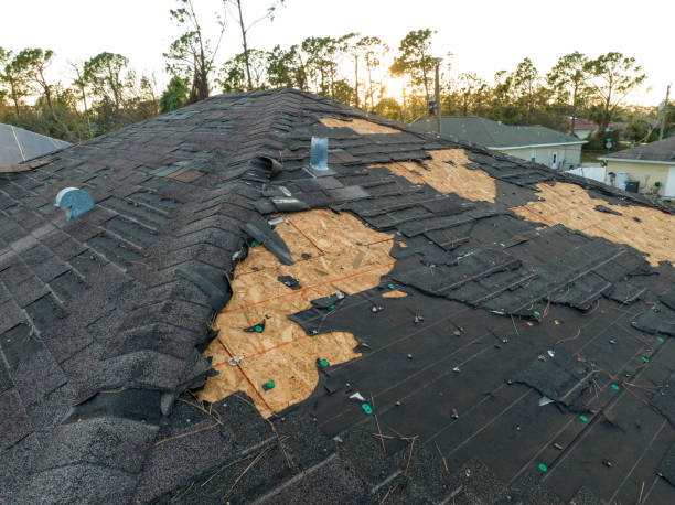 Roof Insulation in Kodiak, AK