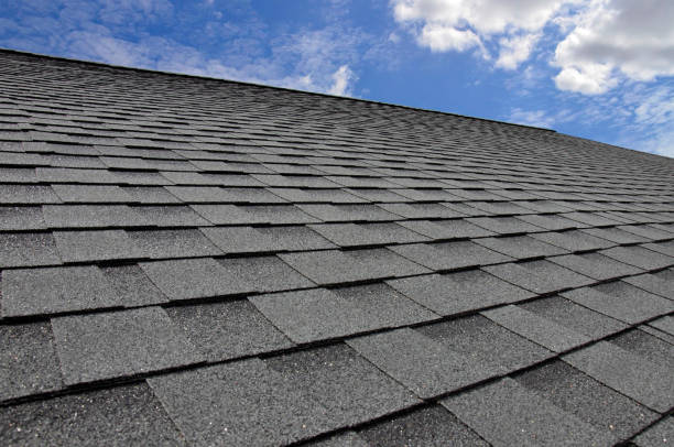 Best Skylight Installation and Repair  in Kodi, AK